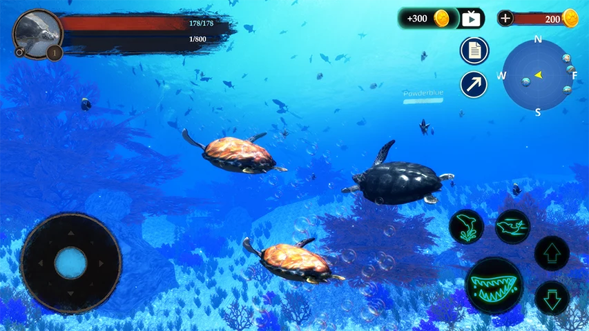 The Turtle screenshot