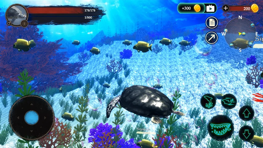 The Turtle screenshot