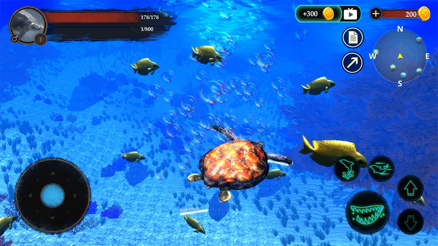 The Turtle screenshot