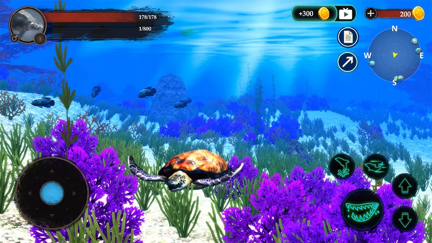 The Turtle screenshot