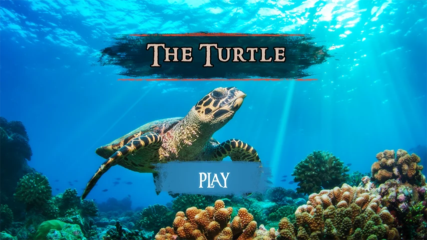 The Turtle screenshot