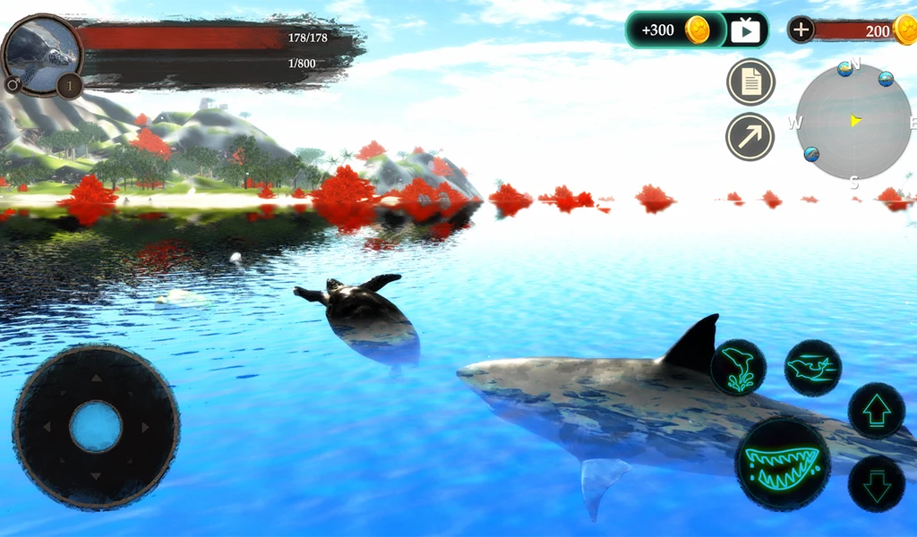 The Turtle screenshot