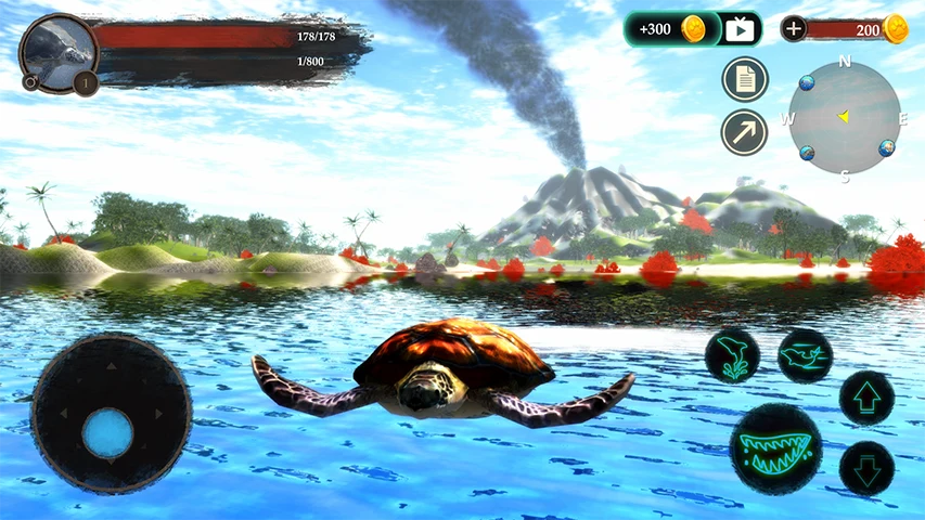 The Turtle screenshot